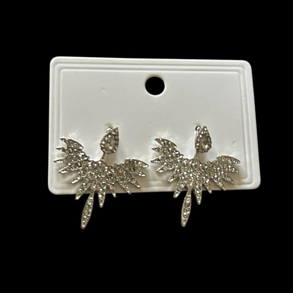 Elegant Silver Crystal Earrings